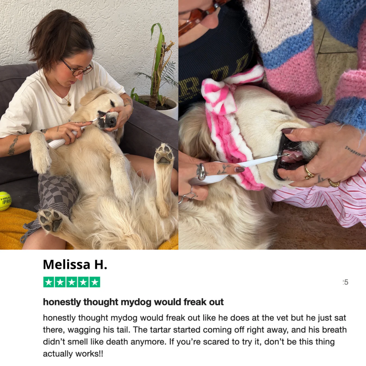 PawDent SonicCare Pro 2.0