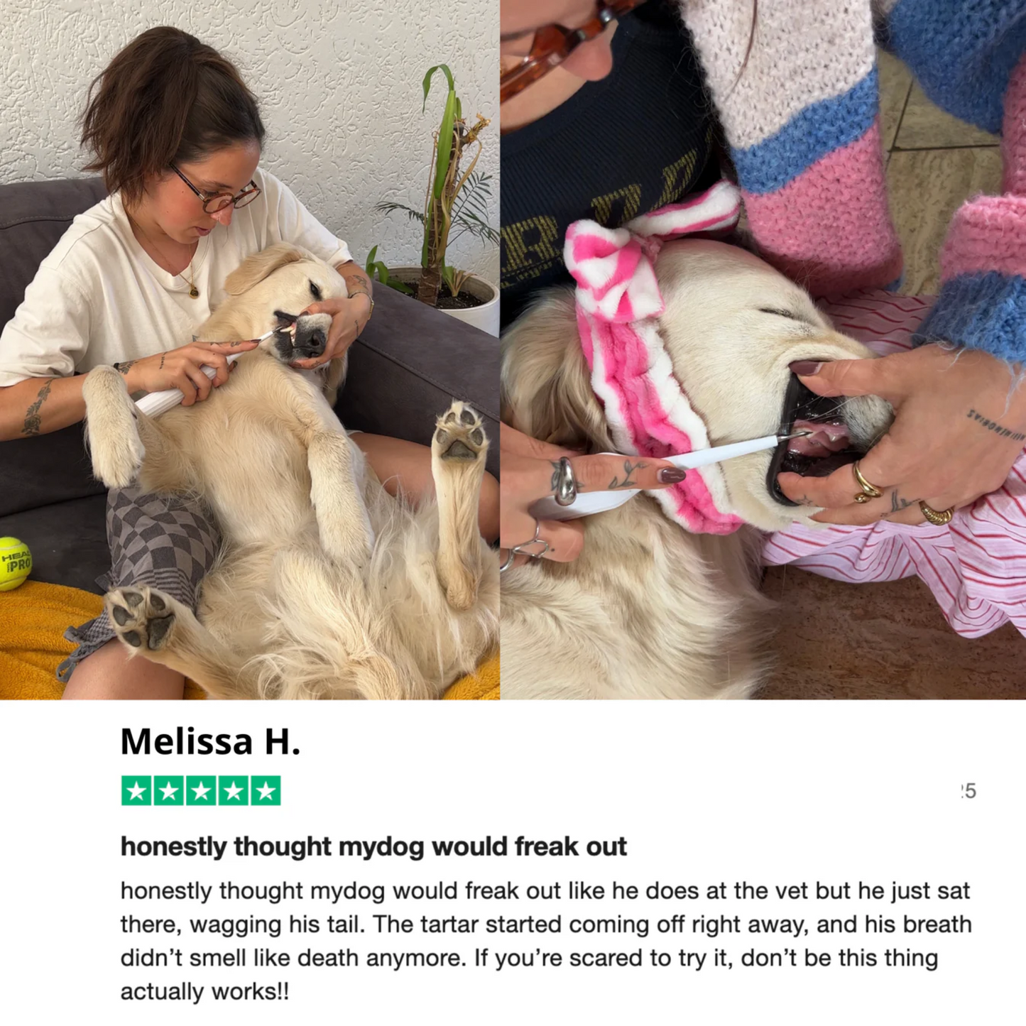 PawDent SonicCare Pro 2.0