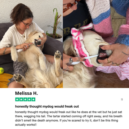 PawDent SonicCare Pro 2.0