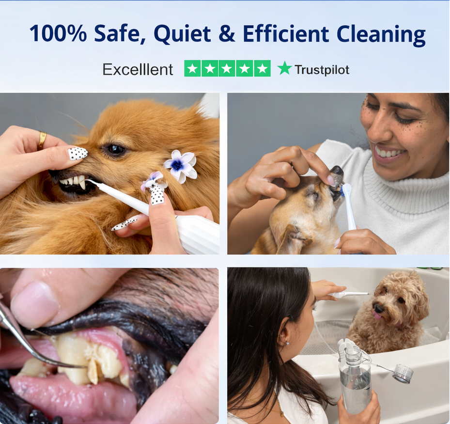 PawDent SonicCare Pro 2.0