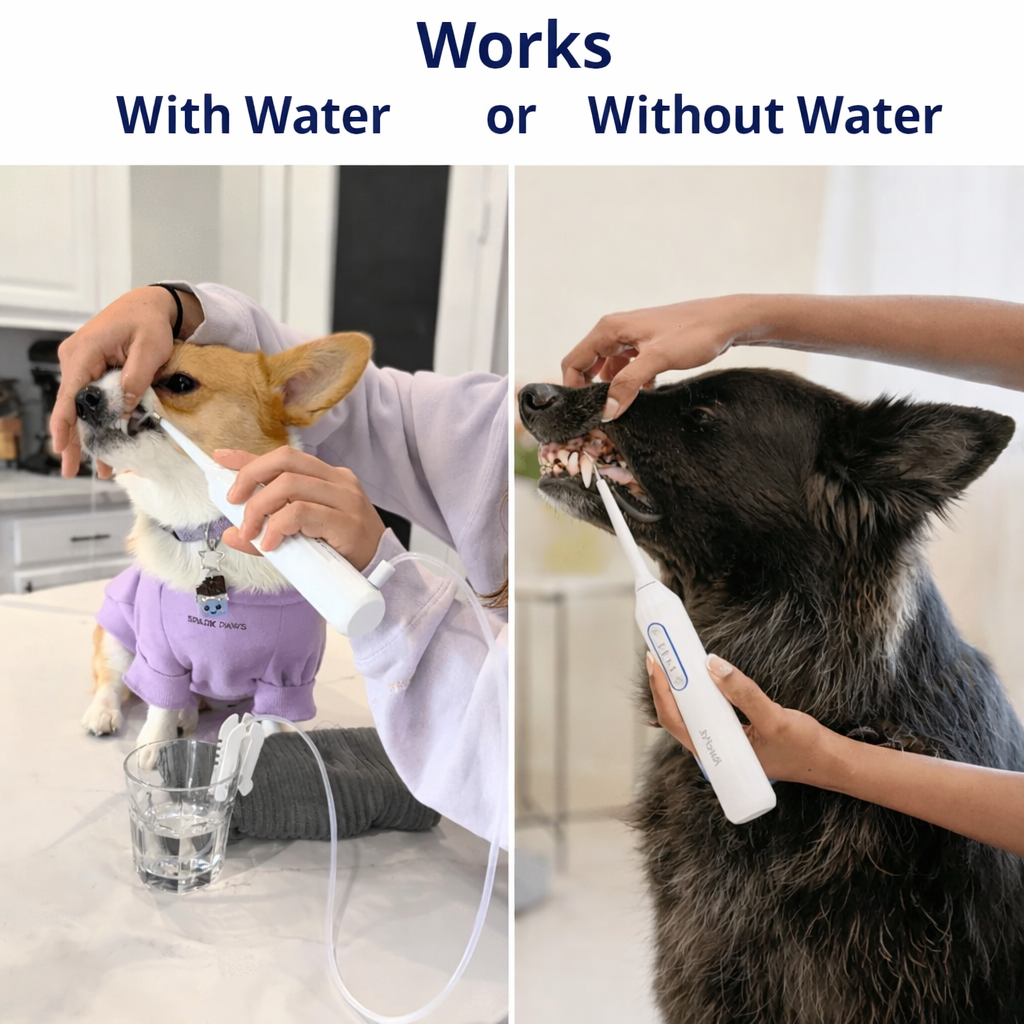 PawDent SonicCare Pro 2.0