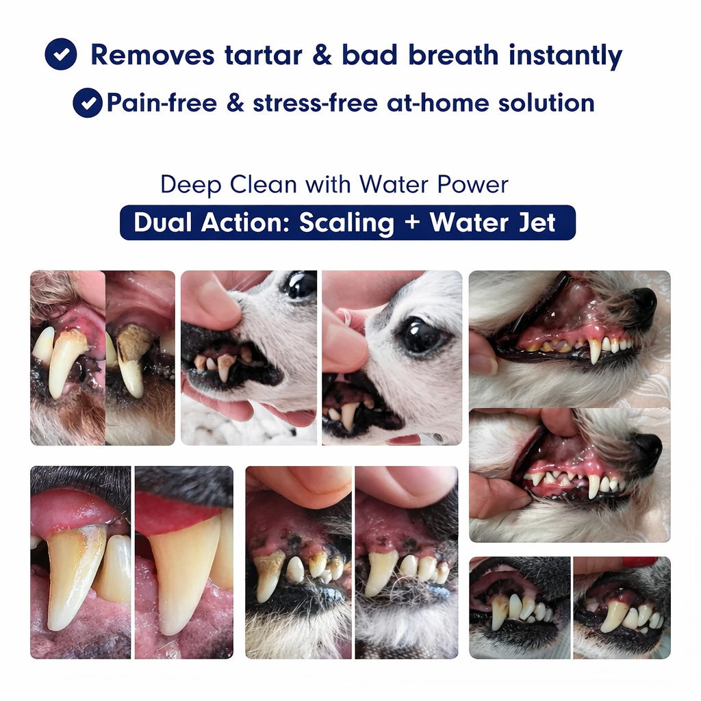 PawDent SonicCare Pro 2.0