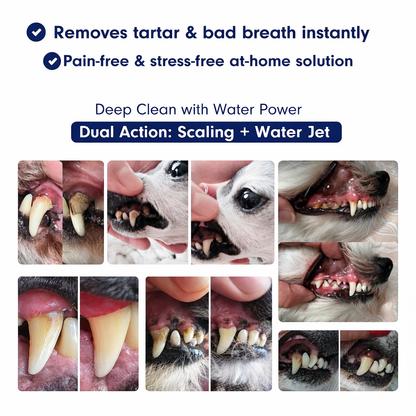 PawDent SonicCare Pro 2.0