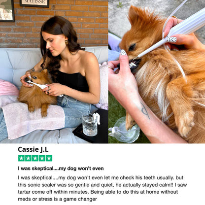 PawDent SonicCare Pro 2.0